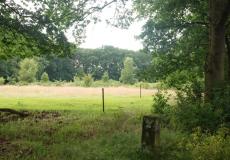 Der alte Grenzstein steht unscheinbar auf dem Feldweg