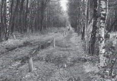 Binnenweg Holterhoek meddo.
